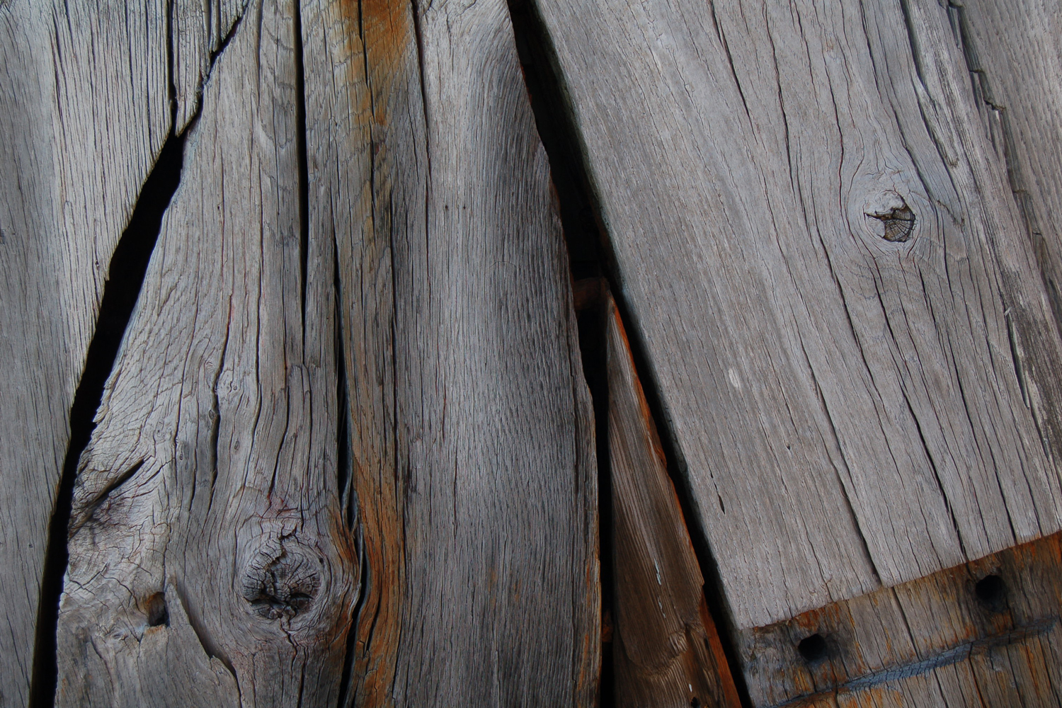 hout-van-den-hardenberg
